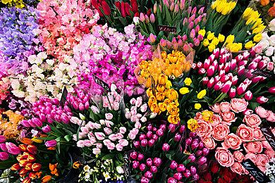 最强FC音质游戏《吉米克》续作正式公布